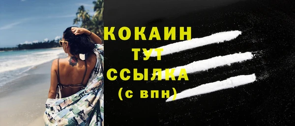 ГАЛЛЮЦИНОГЕННЫЕ ГРИБЫ Инта