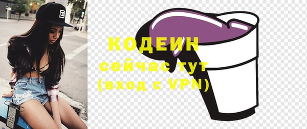 ГАЛЛЮЦИНОГЕННЫЕ ГРИБЫ Инта
