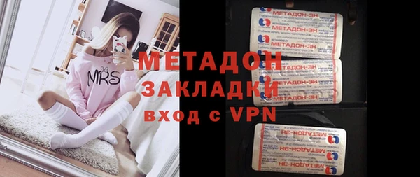 ГАЛЛЮЦИНОГЕННЫЕ ГРИБЫ Инта