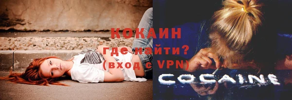 крисы Инсар