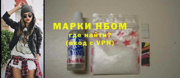 ГАЛЛЮЦИНОГЕННЫЕ ГРИБЫ Инта