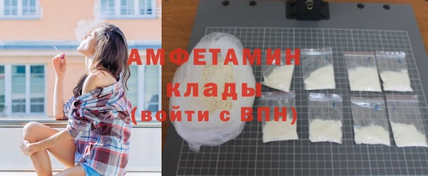 крисы Инсар