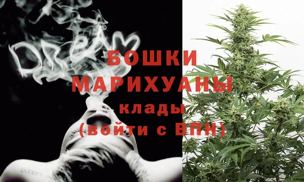 ГАЛЛЮЦИНОГЕННЫЕ ГРИБЫ Инта