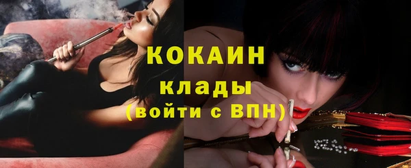 ГАЛЛЮЦИНОГЕННЫЕ ГРИБЫ Инта