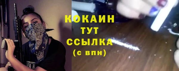 ГАЛЛЮЦИНОГЕННЫЕ ГРИБЫ Инта