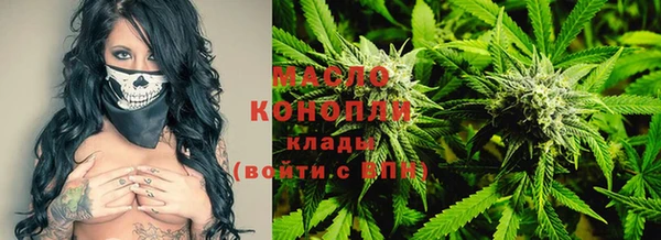 ГАЛЛЮЦИНОГЕННЫЕ ГРИБЫ Инта