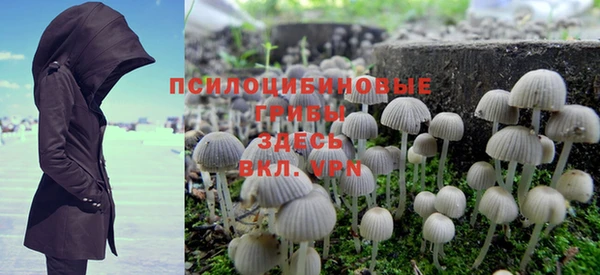 крисы Инсар