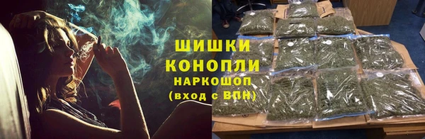 ГАЛЛЮЦИНОГЕННЫЕ ГРИБЫ Инта