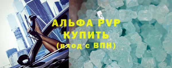 ГАЛЛЮЦИНОГЕННЫЕ ГРИБЫ Инта