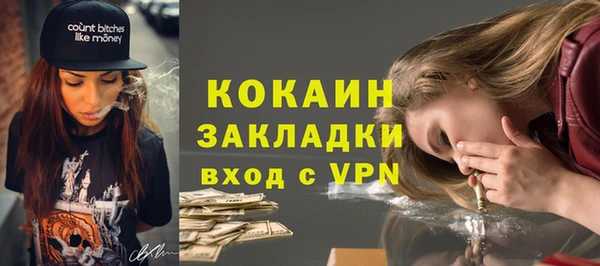 ГАЛЛЮЦИНОГЕННЫЕ ГРИБЫ Инта