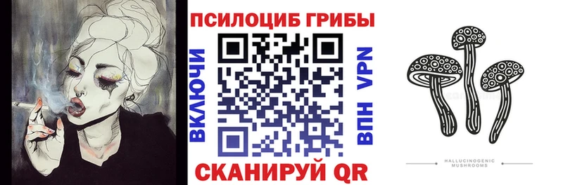 закладки Карабаново Галлюциногенные грибы Psilocybine cubensis